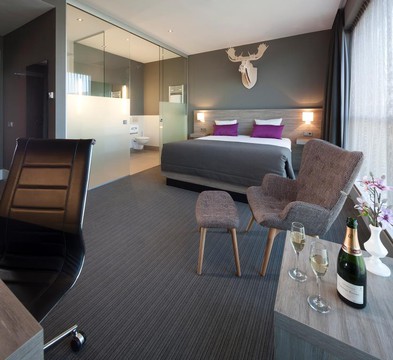 Executive Kamer Hotel Brussels Airport